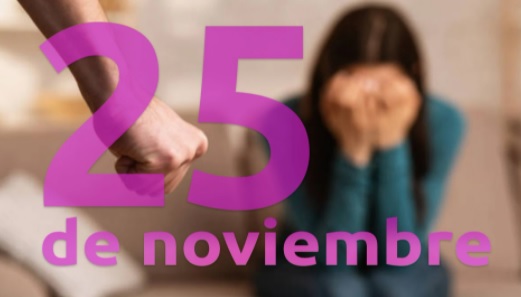 Por qué el 25 de noviembre es el día contra la violencia de género? -  Diario Constitucional